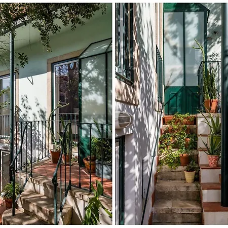 Lost :: Avenida House بيت ضيافة Lisboa